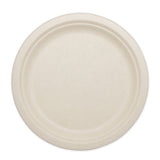 World Centric® Fiber Plates, 10" Dia, Natural, 800-carton freeshipping - TVN Wholesale 