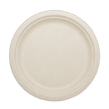 World Centric® Fiber Plates, 10" Dia, Natural, 800-carton freeshipping - TVN Wholesale 