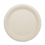 World Centric® Fiber Plates, 9" Dia, Natural, 1,000-carton freeshipping - TVN Wholesale 