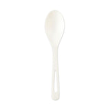 World Centric® Tpla Compostable Cutlery, Spoon, 6", White, 1,000-carton freeshipping - TVN Wholesale 