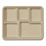 World Centric® Fiber Trays, 1-compartment, 8.3 X 4.9 X 0.7, Natural, 500-carton freeshipping - TVN Wholesale 